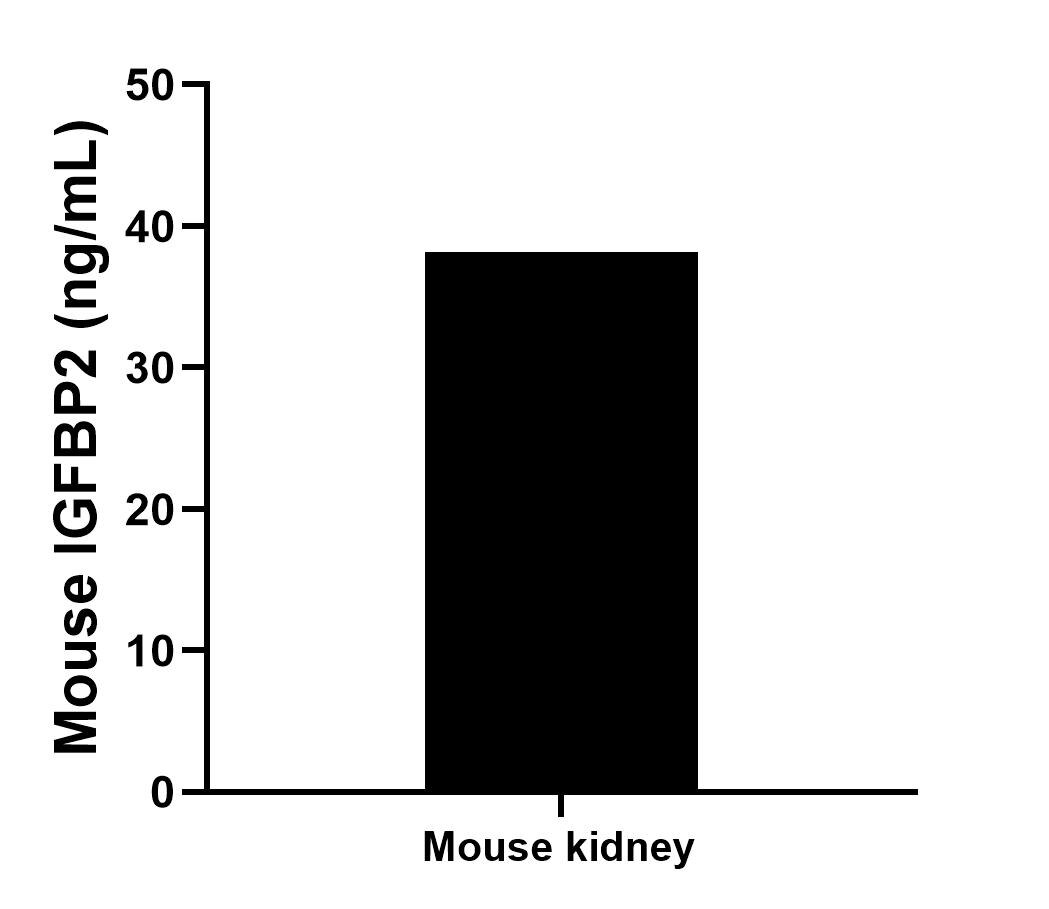 Sample test of MP01011-1